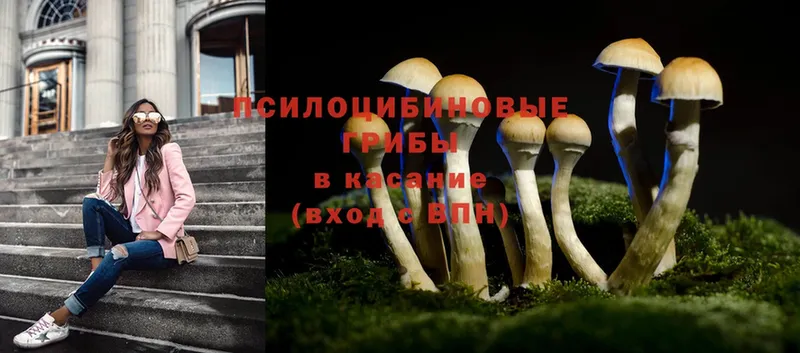 Галлюциногенные грибы Magic Shrooms  Карачев 